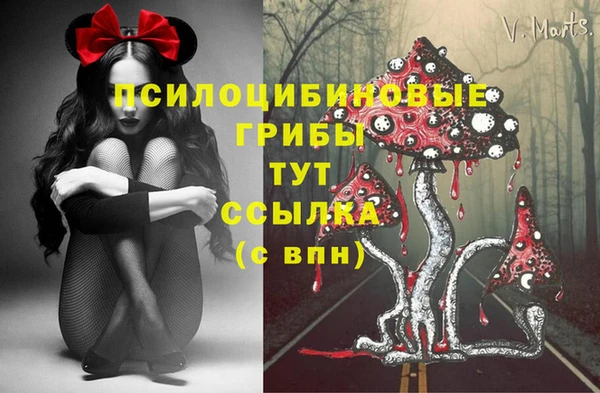 СК Алексеевка