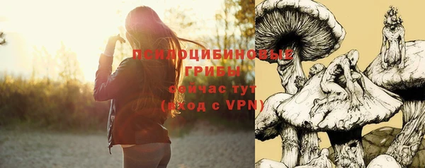 тгк Алзамай