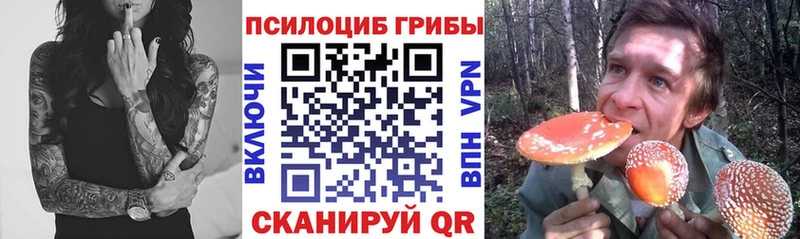 Галлюциногенные грибы Psilocybe  Олонец 